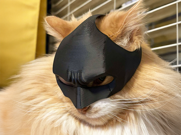 Batman Cat Mask