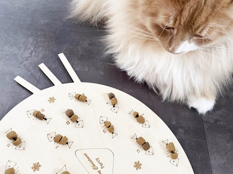 Cat Advent Calendar